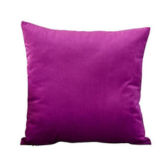 Super Soft Cushion Cover Velvet Pillow Cover Living Room Velvet Decorative Throw Pillow Covers Soft Solid Square Cushion Case For Couch Home Decorative Pillows